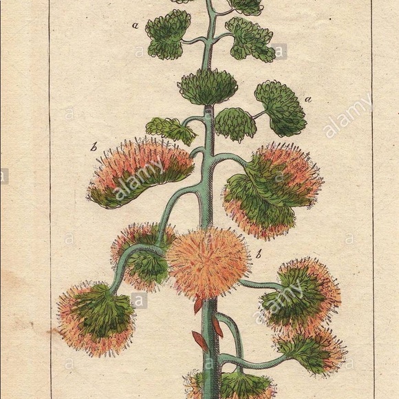 Meet your Posher, Sarah - Picture 6 of 15